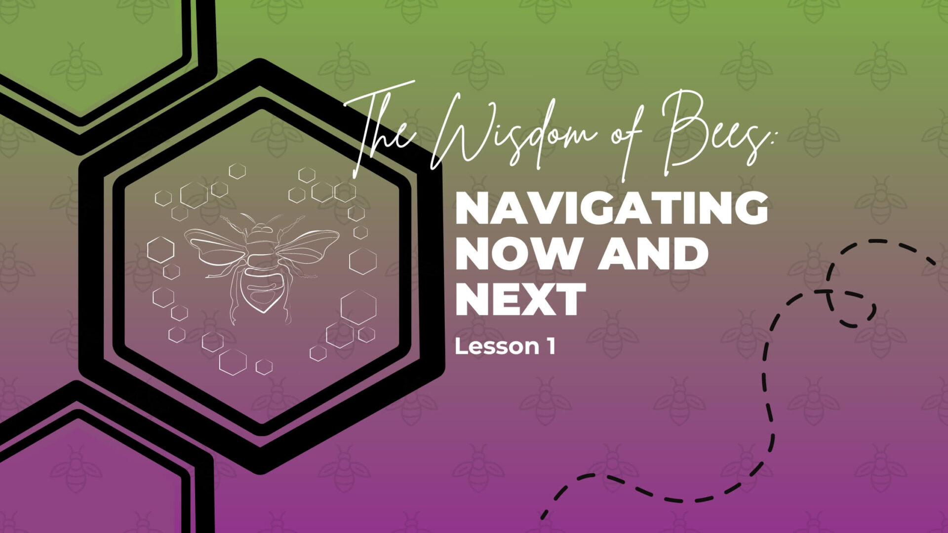 Hive180 The Wisdom of Bees Lesson 1 Blog Banner (OFW)