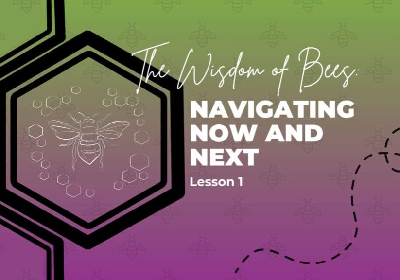 Hive180 The Wisdom of Bees Lesson 1 Blog Banner (OFW)