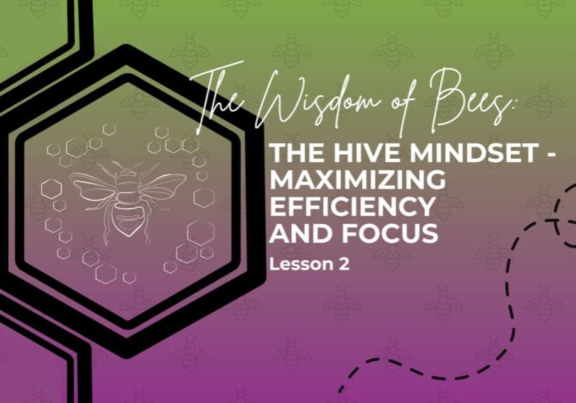 Hive180 The Wisdom of Bees Lesson 2 Blog Banner (OFW)